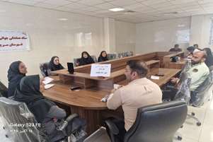 برگزاری ستاد هماهنگی جوانی جمعیت در شبکه بهداشت و درمان شهرستان سرچهان