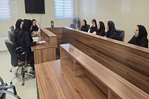 بررسی شاخص‌های واحد سلامت خانواده مرکز خدمات جامع سلامت شهر حسامی 
